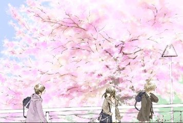 蜜芽跳转接口点击进入免费破解版